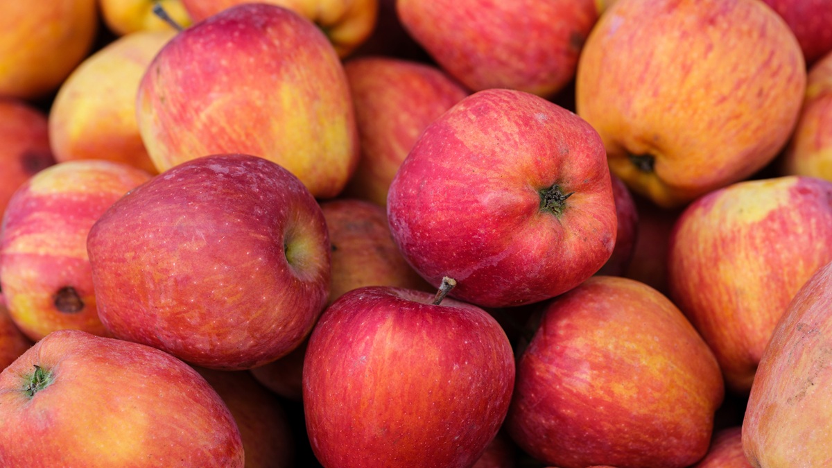 Control de temperatura, humedad y CO₂ en el almacenamiento de fruta.jpg